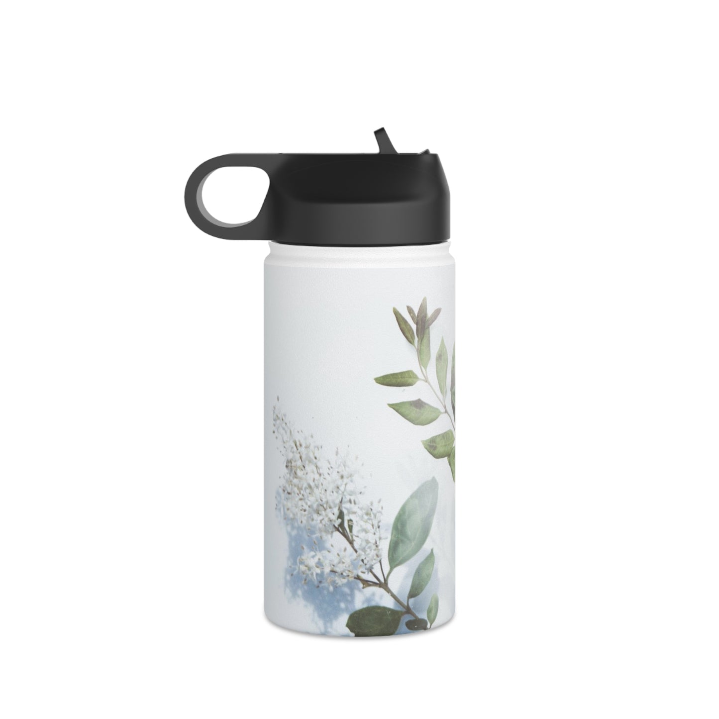 Stainless Steel Water Bottle, Standard Lid