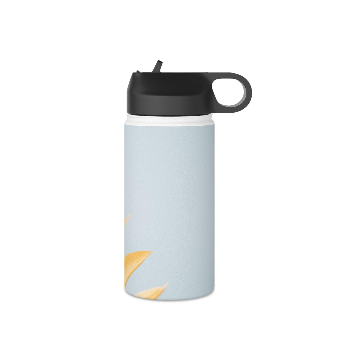 Stainless Steel Water Bottle, Standard Lid