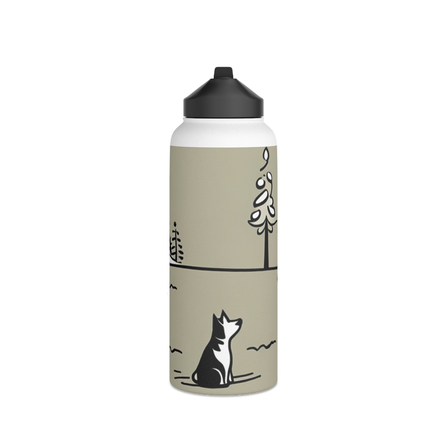 Stainless Steel Water Bottle, Standard Lid