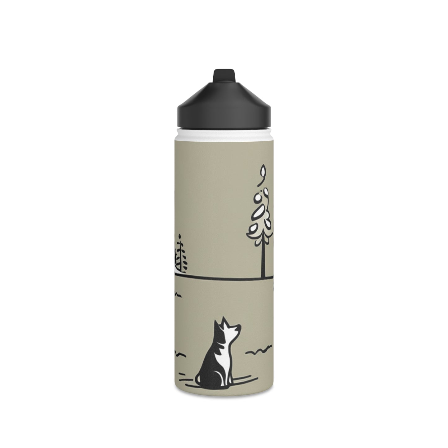 Stainless Steel Water Bottle, Standard Lid