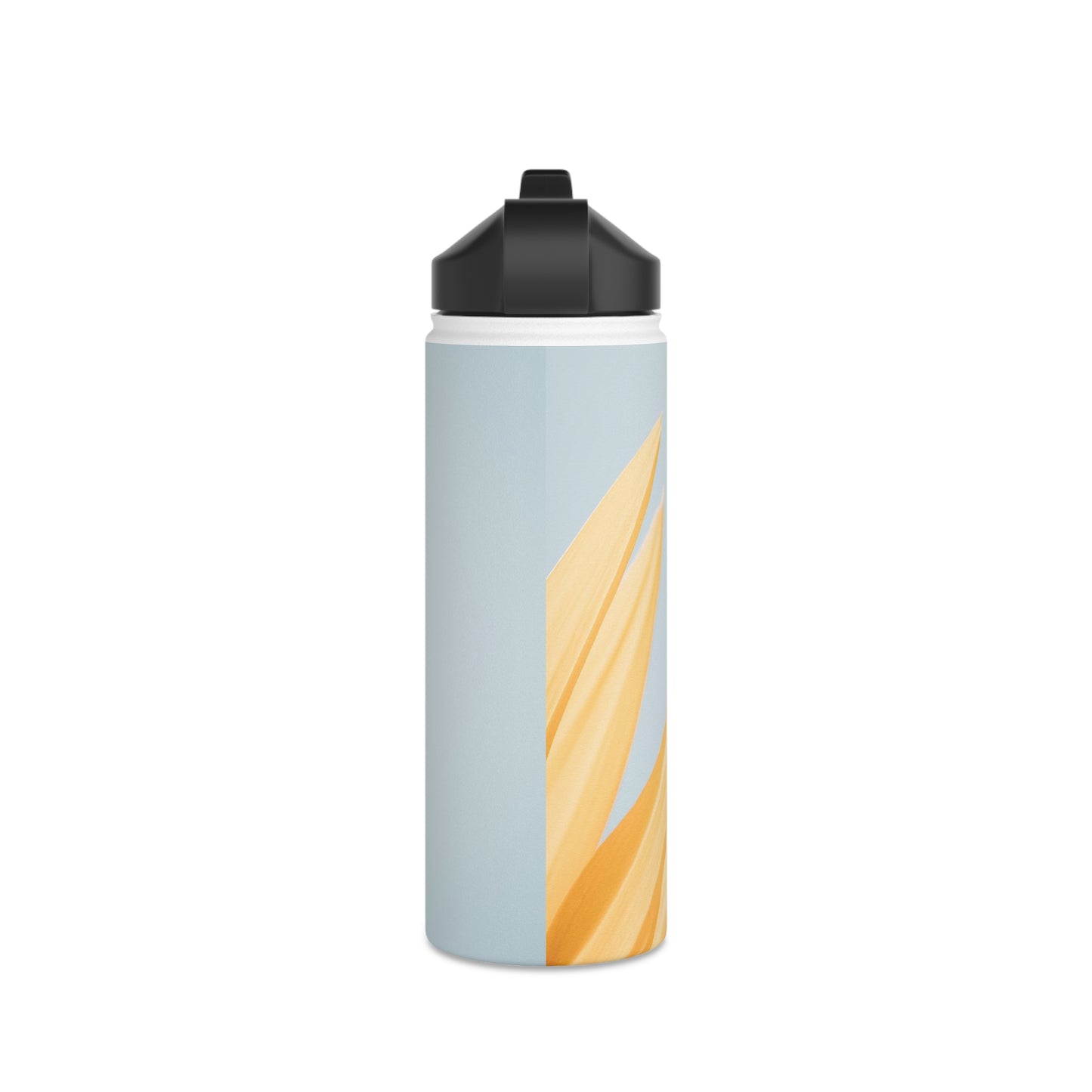 Stainless Steel Water Bottle, Standard Lid